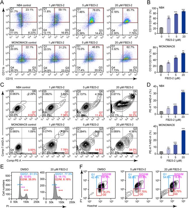 CD15 Antibody in Flow Cytometry (Flow)