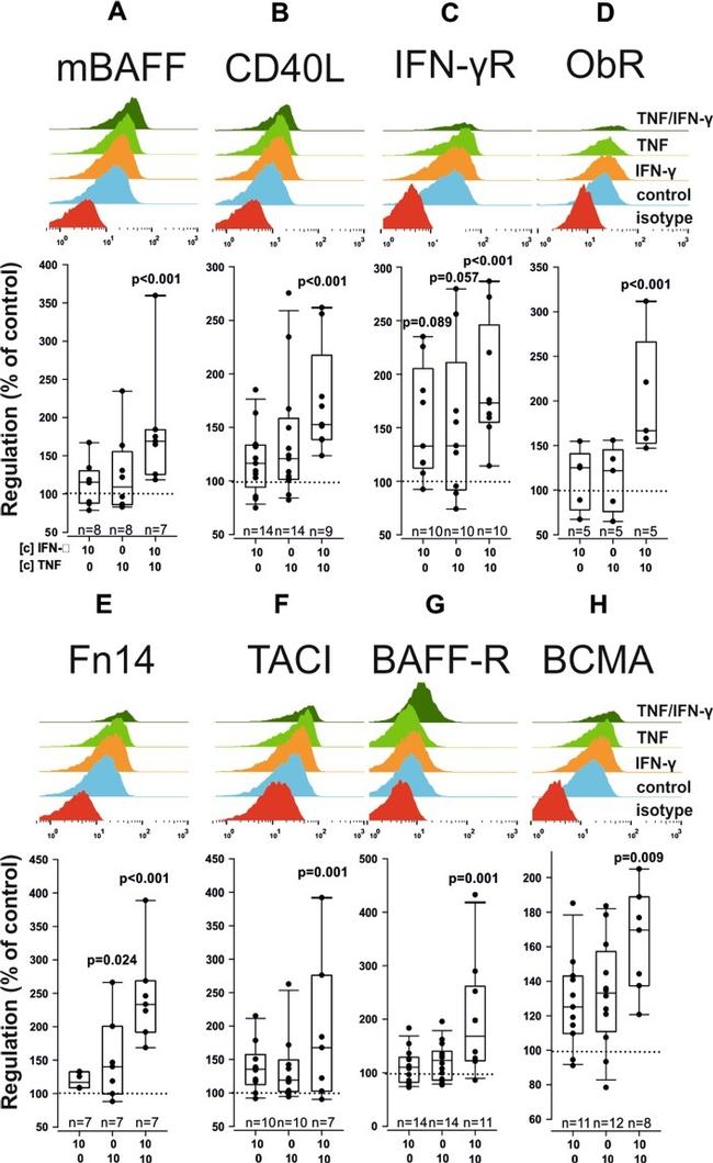 CD257 (BAFF, BLyS) Antibody in Flow Cytometry (Flow)