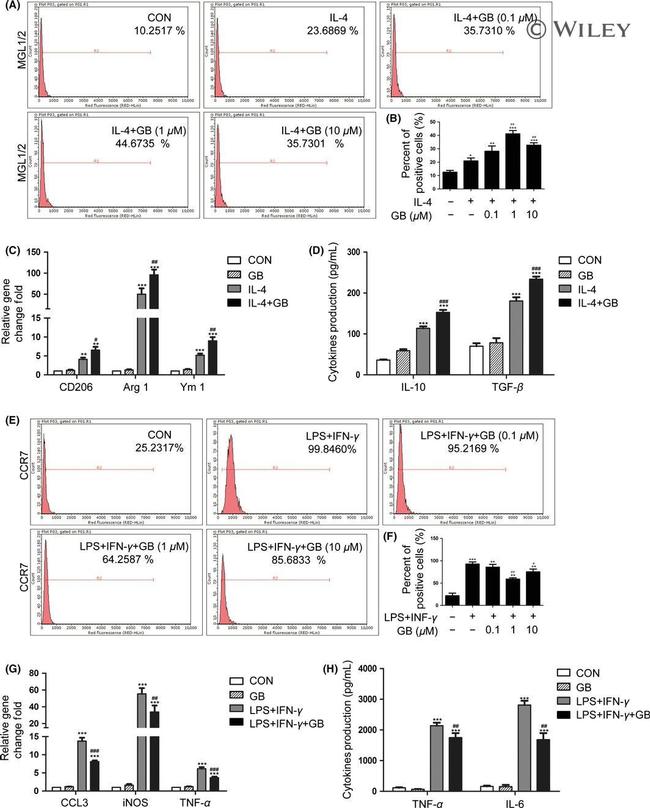 CD197 (CCR7) Antibody in Flow Cytometry (Flow)