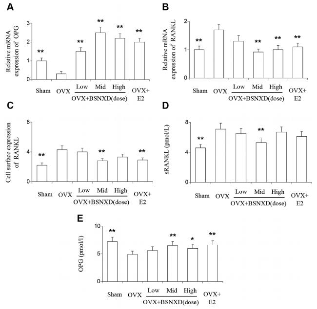 CD254 (RANK Ligand) Antibody in Flow Cytometry (Flow)