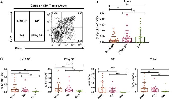 CD4 Antibody in Flow Cytometry (Flow)