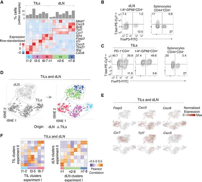 BWT Cillit Immuno 152 - Merkapt Zrt.