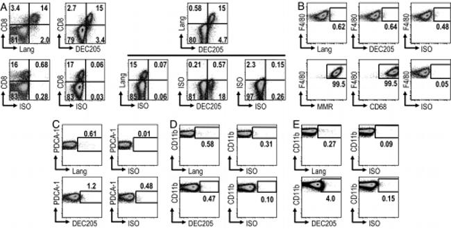 CD207 (Langerin) Antibody in Flow Cytometry (Flow)