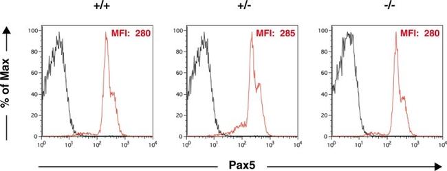 PAX5 Antibody in Flow Cytometry (Flow)