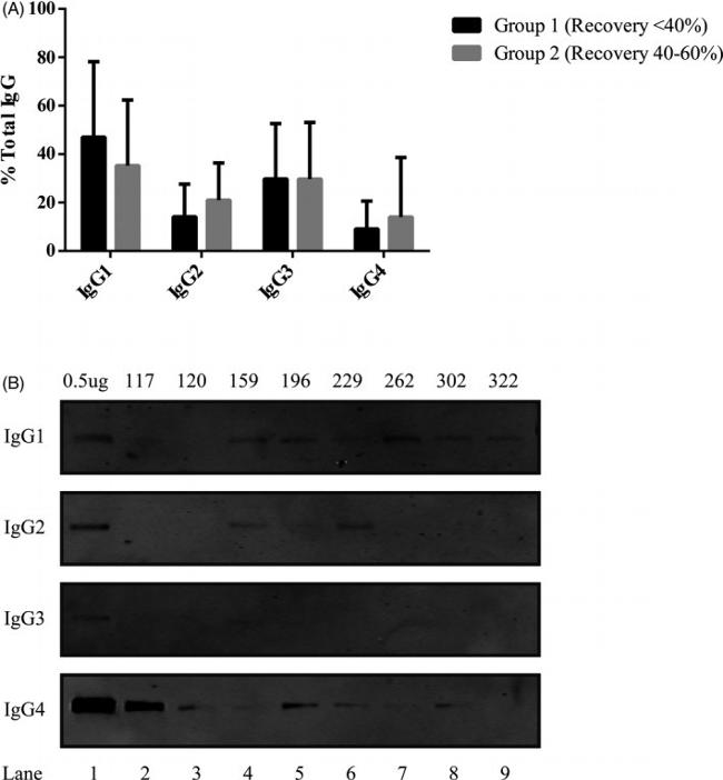 Prolactin Antibody in Immunoprecipitation (IP)