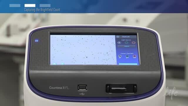 Countess II FL Automated Cell Counter  Thermo Fisher 