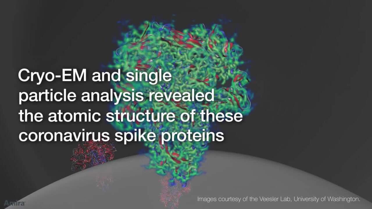 Imaging Coronavirus With Cryo-EM - BioTechniques