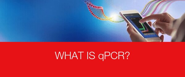 What is qPCR?