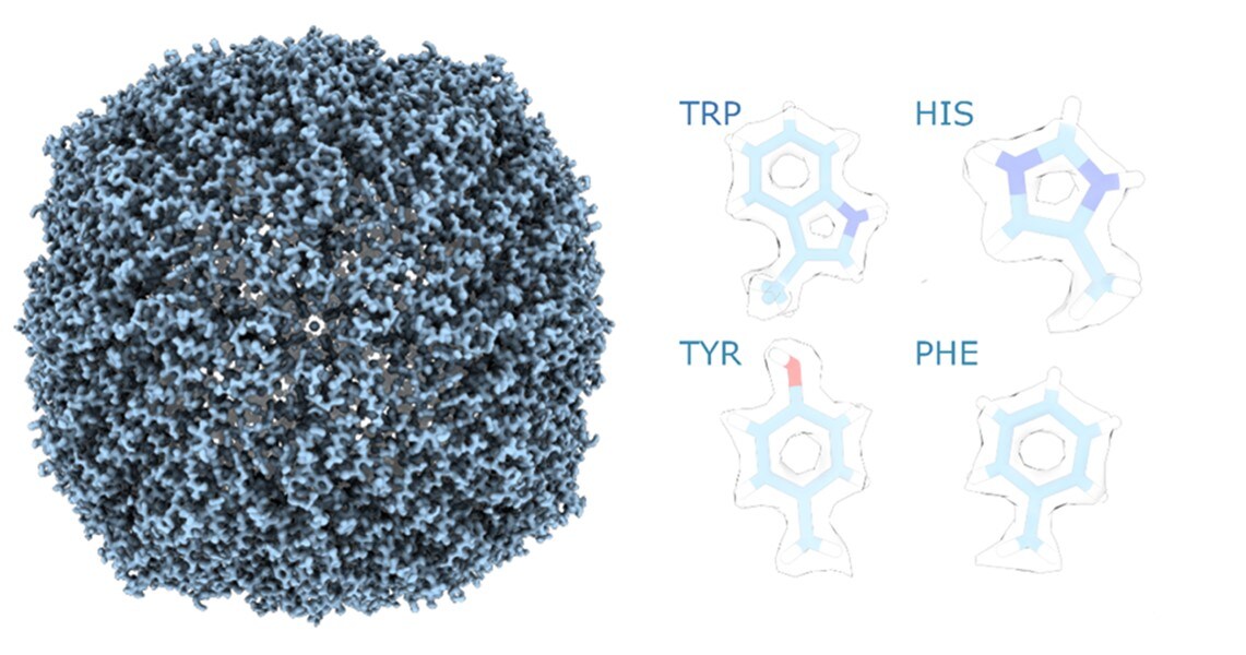 A reconstruction of apoferritin at 1.5 Å resolution from data collected over eleven hours using the Glacios 2 Cryo-TEM with the Falcon 4i Direct Electron Detector, Selectris Imaging Filter, E-CFEG, and FFI.