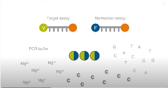 figure 1 competition for reaction components in real-time PCR assay with reaction wells