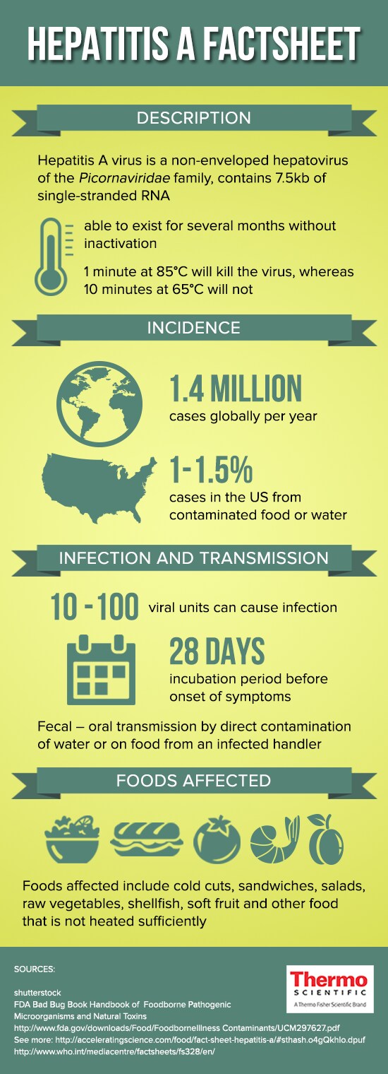 hepatitis a transmission rate