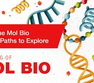 5 Unique Mol Bio Career Paths to Explore