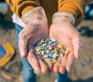 Plastic Particles Found on Beach