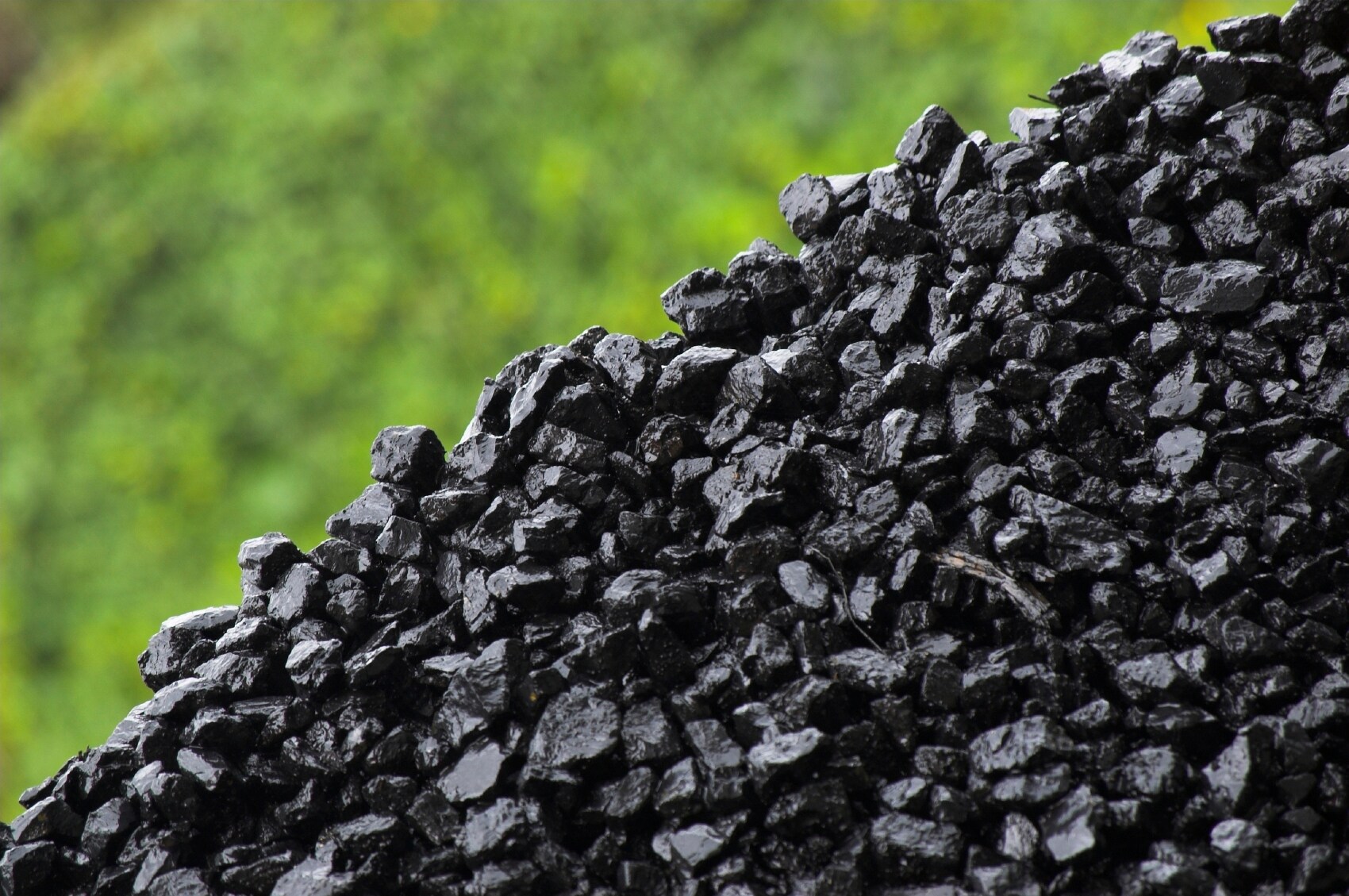 Lignite Coal  U.S. Geological Survey