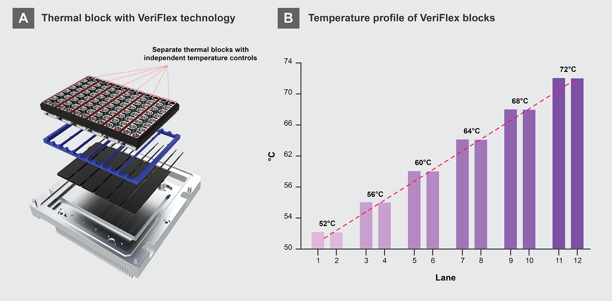 a) Temperature gradient PCR of Rv0148 (52°C-56°C for Lane 1-5). (b)