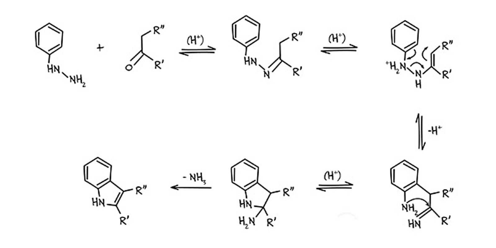 fischer indole synthesis experiment