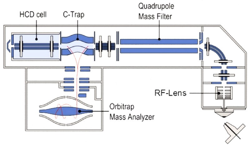 quadrupole mass filter