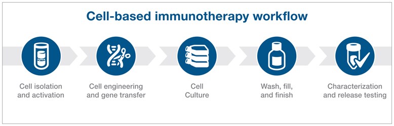 Cell-Based Immunotherapy | Thermo Fisher Scientific - US