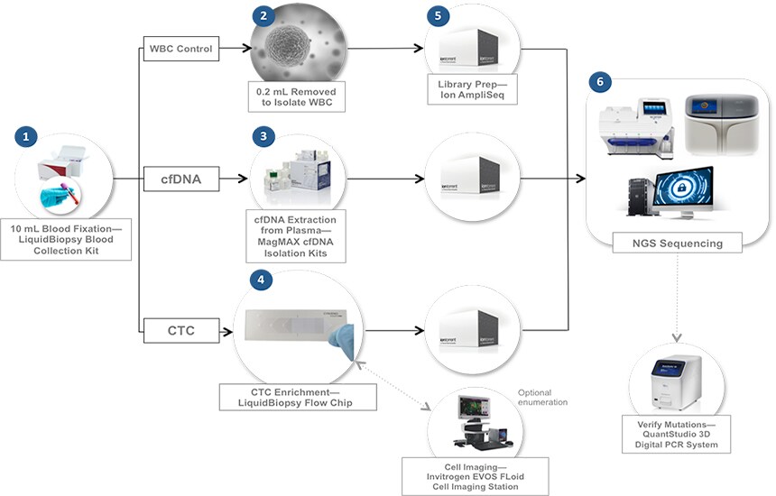 LiquidBiopsy Platform and Workflow  Thermo Fisher Scientific